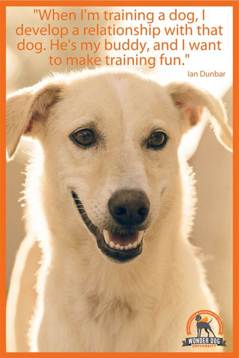 17 Best Dog Training Quotes Images On Pinterest Training Quotes Dog
