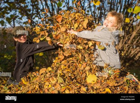 Two Children Boys Playing Throwing Autumn Leaves From Pile In The