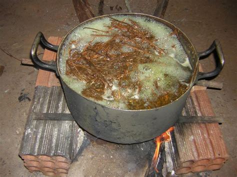 Psychedelic Amazonian Brew Ayahuasca Could Help Treat Addictions