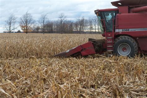 Free Images Plant Field Farm Food Harvest Crop Corn Soil