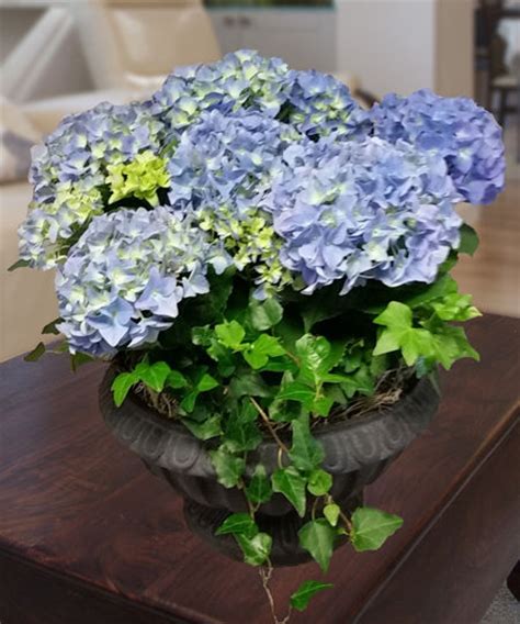 Maybe you would like to learn more about one of these? Best Florist in Marietta GA | Carithers Flowers