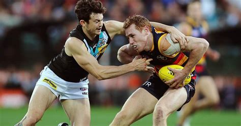 In Photos Afl Adelaide Crows Vs Port Adelaide Power Sporting News