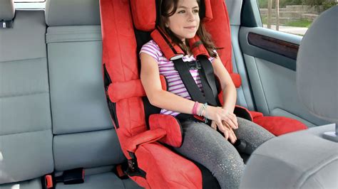 Adult Car Seat Harness