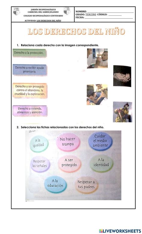 Interactive Notebooks Note Cards Activities