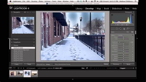 The adjustment brush tool settings are highlighted in red, and are found under the histogram. Mastering the Lightroom Adjustment Brush | Photoshop ...