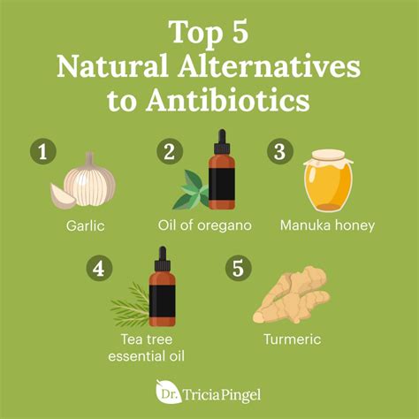 5 Natural Alternatives To Antibiotics Dr Pingel