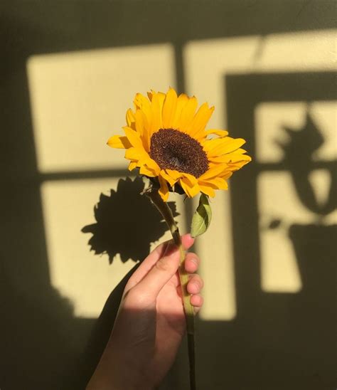 Previous article yellow aesthetic wallpapers. Pin on _Y e l l o W_