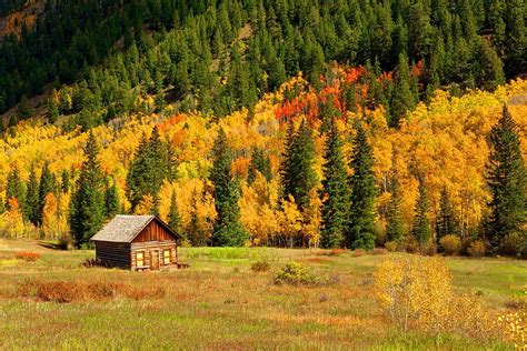 Autumn Cabin Slope Fall Beautiful Lvoely Mountain Cabin Leaves