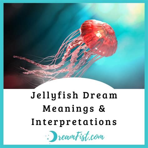 Jellyfish Dream Meanings And Interpretations Dreamfist