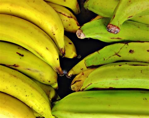 Are Plantains Just Green Bananas The Answer Might Surprise You Sidechef
