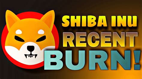 SHIBA INU BURN SHIBA INU LATEST UPDATES YouTube