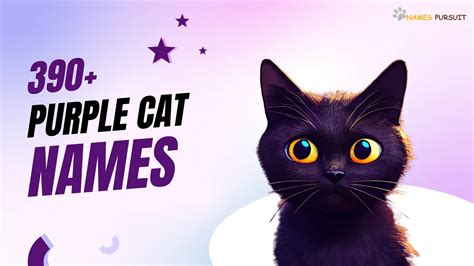 390 Purple Cat Names Find The Perfect Match