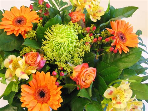 Big Bunch Of Flowers Free Photo Download Freeimages