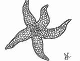 Starfish Teacherspayteachers sketch template
