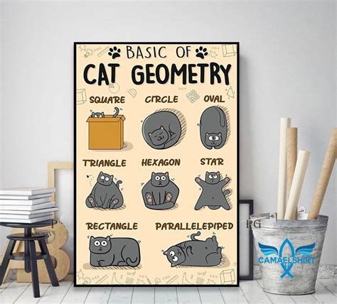 Basic Of Cats Geometry Vertical Poster Pet Finder Weird Animals