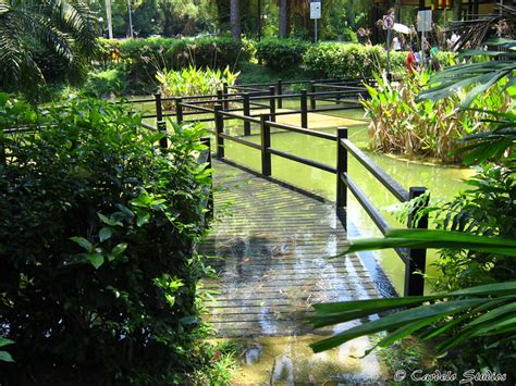 The japanese tea garden grew out of an esoteric ritual originated in china and connected with the taking of tea. Duchess Estate | lostnfiledsg