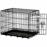Pictures of Pet Crate For Two Dogs