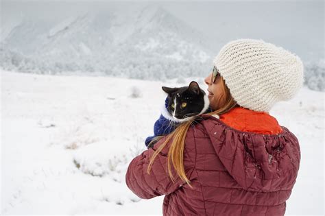 Kitty, there's snow (and adventure) outside – Adventure Cats