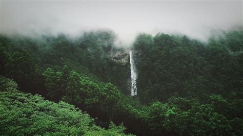 Landscape View Of Waterfall Green Leaves Trees Forest With Fog Nature