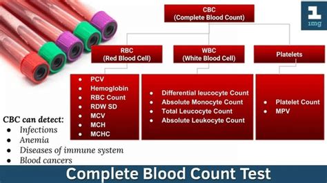 Low levels of mcv are an indication that your red blood cells are smaller in volume and are therefore not able to hold a sufficient quantity of hemoglobin in them. Mean Corpuscular Volume (MCV) Blood Test - Grow Health