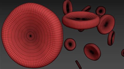 D Red Blood Cells Animated Scene Turbosquid