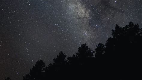 Download Wallpaper 2560x1440 Milky Way Stars Trees Sky Night Dark