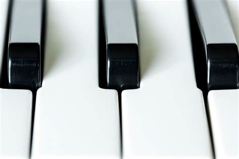 Купить lictin 88 tastatur klavierabdeckung elektronische klavier abdeckung klaviertastatur staub abdeckung tastatur. Klaviertastatur Zum Ausdrucken : Laden sie klaviertastatur stockvektoren bei der besten agentur ...