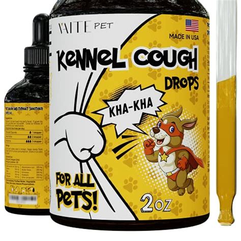 Ultimate Review Of The Best Cough Medicine For Dogs You Can Buy Gearweb