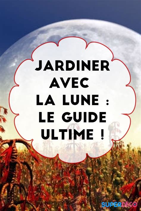 Jardiner Avec La Lune Le Guide Ultime D Couvrez Comment Jardiner