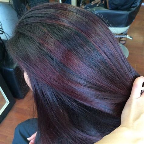 51 Top Pictures Plum Highlights On Black Hair 24