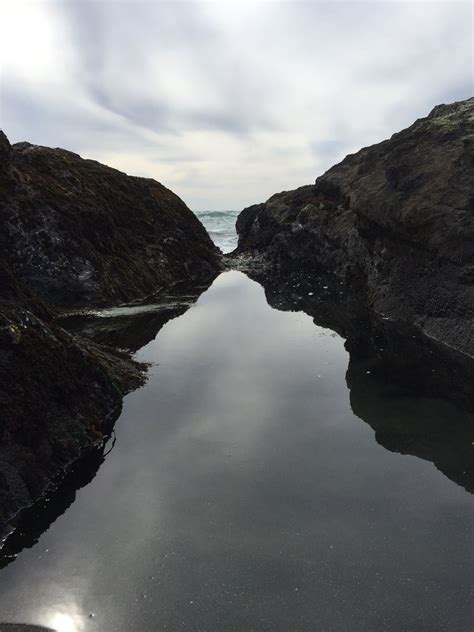 From the intersection of mill creek dr (cleone heights dr) & hwy 1, proceed w toward park entrance. MacKerricher State Park, Fort Bragg, Ca.
