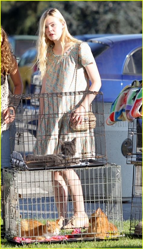 Elle Fanning Checks Out Some Cats Photo 2577270 Elle Fanning Photos