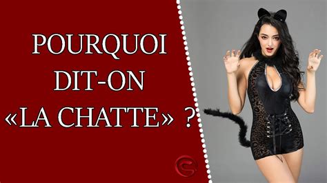 Pourquoi Dit On La Chatte Pour Parler Du Sexe De La Femme YouTube