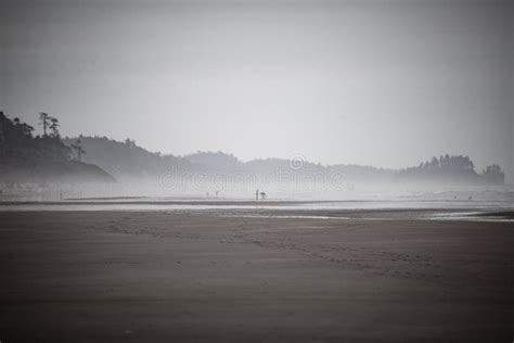 Sea Fog In La Push First Beach Washington State Usa Stock Image