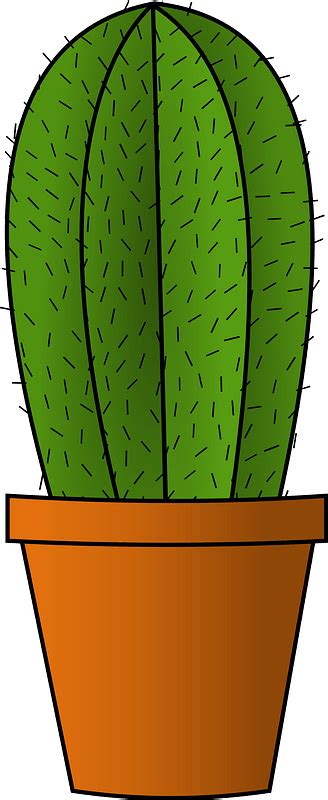 Cactus In A Pot Clipart Free Download Transparent Png Creazilla