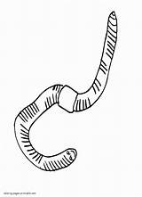 Worm Wurm Earthworm Soil Ausmalbild Coloringhome Inchworm Sammy sketch template