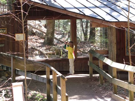 Squam Lakes Natural Science Center Blog New Hampshire Day 2015