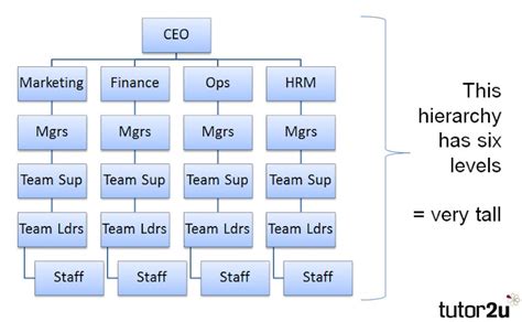 Hierarchy Reference Library Business Tutor2u
