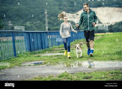 Junges Paar In Bunten Gummistiefeln Spazieren Beagle Hund Im Regen