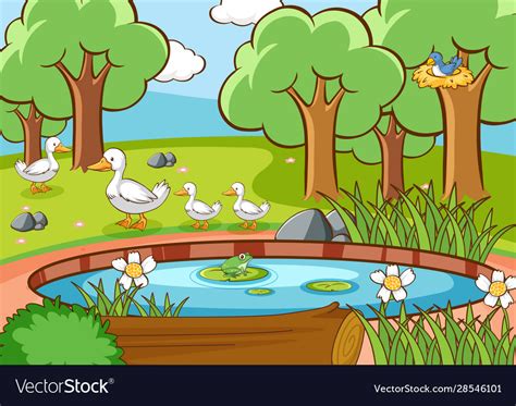 Scene With Ducks And Bird Pond Royalty Free Vector Image
