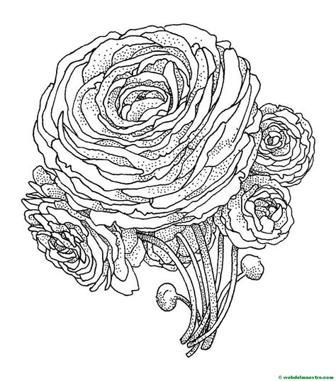 Imagenes De Rosas En Caricatura Para Colorear Páginas Imprimibles