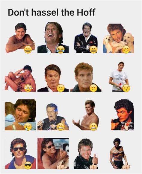 The Hoff Stickers Set Stickers