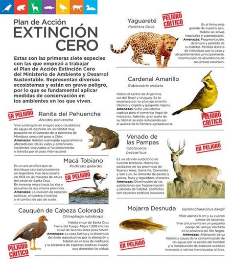 Infografía Prensa Ambiente Especies En Peligro De Extinción
