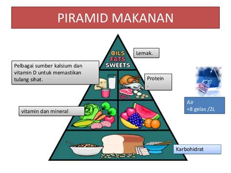 Piramida ekologi adalah sebuah diagram yang menunjukkan jumlah relatif dari energi atau bahan y ang terkandung dalam setiap tingkat trofik dalam rantai makanan atau jaring makanan. Kesihatan Dalam Sukan