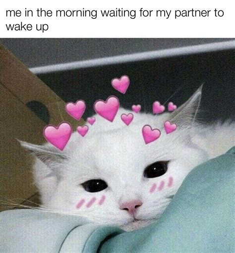 Good Morning How R U R Wholesomememes Wholesome Memes Know Your Meme