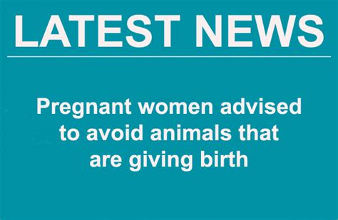 Pregnant Women Advised To Avoid Animals That Are Giving Birth