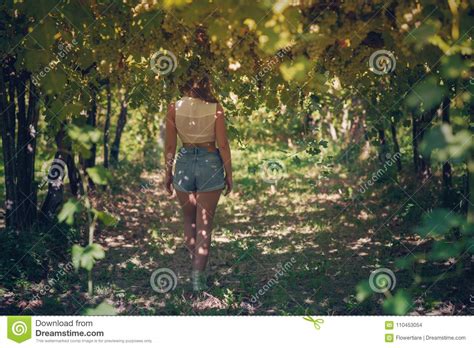 Beautiful Girl In Shorts And Top In A Vineyard On A Warm Sunny Evening