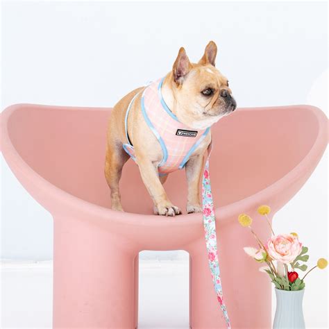 Frenchie Duo Reversible Harness Secret Garden In 2022 Frenchie