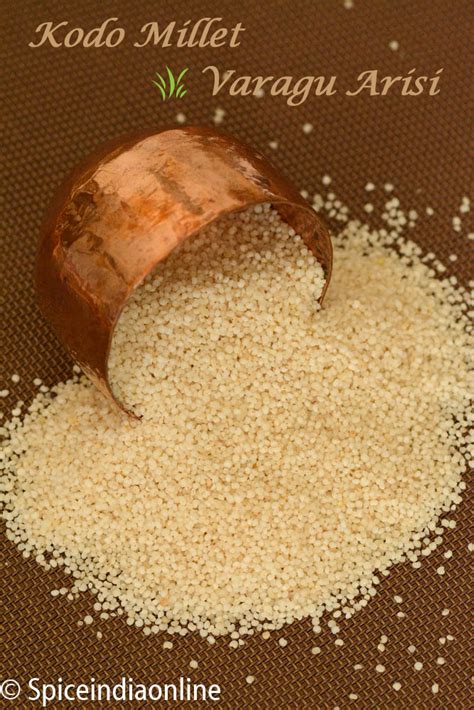 Foxtail millet in telugu is korralu which are rich in iron. MILLET RECIPES - How to Cook Millets - KODO MILLET ...