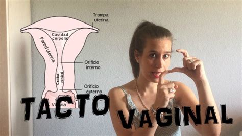 Tacto vaginal Cuánto has dilatado Cómo lo sabemos YouTube